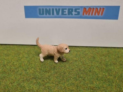 16396 chiot golden retriever - -,