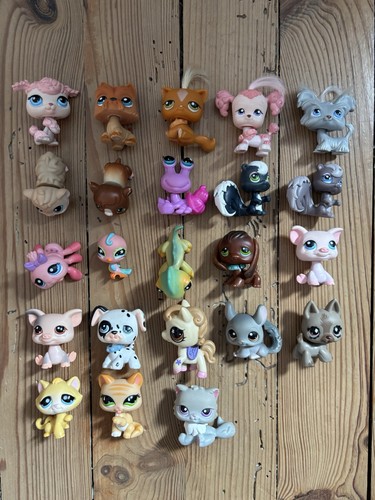 Pets shop accessoires - +, +