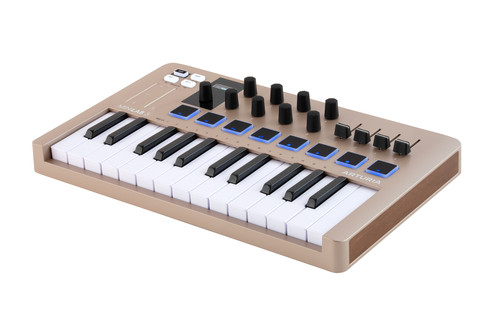 Arturia minilab champagne - arturia,