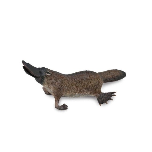 Collecta réplique animal - collecta,