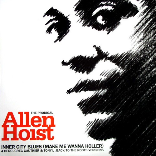 Allen hoist inner - hoist, blues