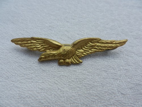 Insigne charognard épervier - charognard,