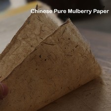 50PCS Chinois Pure Mûrier