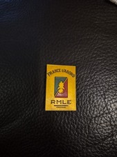 Légion Étrangère. Rare Insigne du Régiment de Marche de la Légion. RMLE. Augis. 
