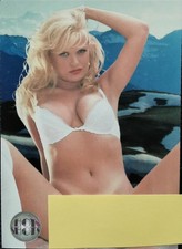 1994 Hot Shots 3 / #86 Ingrid