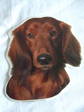 GRAND AUTOCOLLANT - motif chien  Tête TECKEL POIL LONG  N° 3