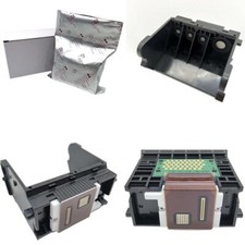 Couleur pleine Tête