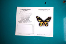 Mini Calendrier 1995 Nature