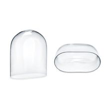 Cloche En Verre Ovale Long. 37