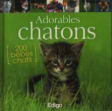 Adorables chatons - Collectif - V1671200
