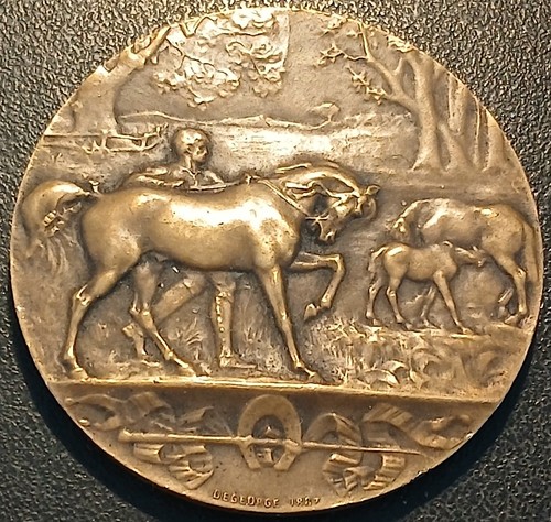 Médaille équestre offert - médaille,