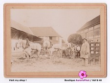 MONDE RURAL, PAYSANS, CHEVAUX