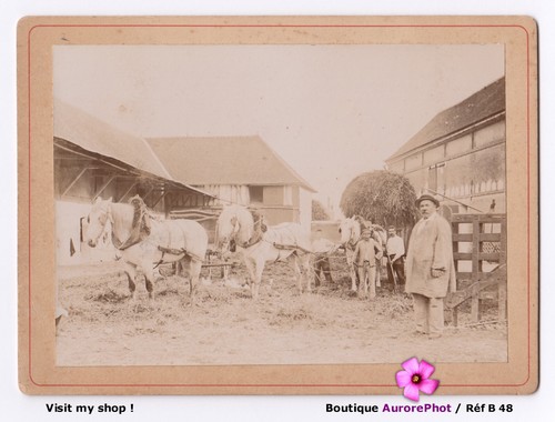 Monde rural paysans chevaux - rural,, paysans,