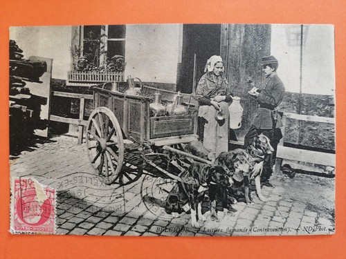 Cpa belgique chariot chien - à,