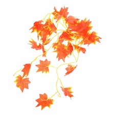  Décoration Terrarium