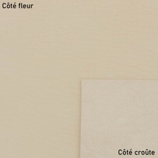 Morceau de cuir de collet tannage végétal NATUREL - CLASSIC - 2'choix