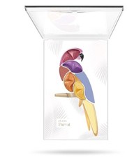 Pupa Perroquet Samba 001