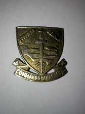 Rare insigne fabrication locale Indochine Cie Légère Accompagnement DINASSAUT II