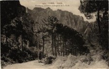 CPA CORSE - PIANA - Montagnes rocheuses emergeant de la Foret (710331)