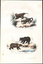 1855 Gravure aquarellée
