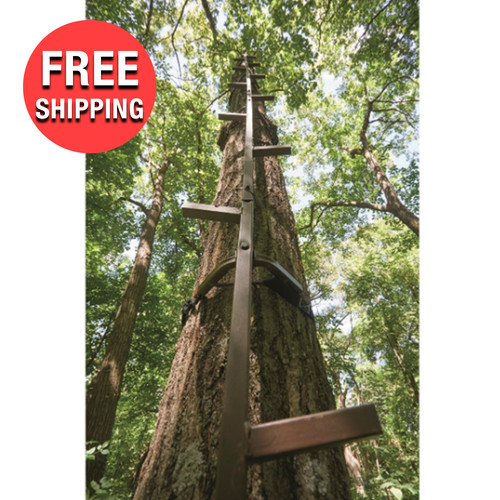 Tree ladder stand - tree,