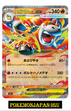 Mega Camerupt ex RR 013/063