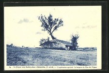 CPA Réalville, L´exploitation agricole, la bergerie du Clos des Vignes 