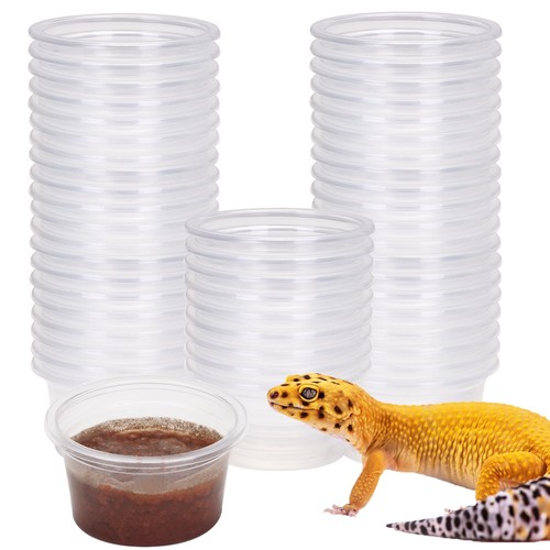 Gecko feeder ledge cup - cup, 1oz