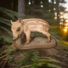 taxidermie Marcassin cabinet