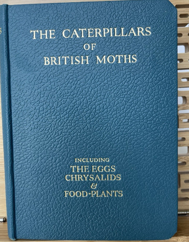 The caterpillars british - the, of