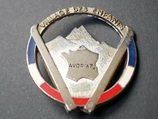 Insigne ski Village des