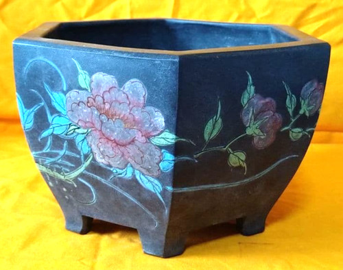 Pot bonsaï japonais - à,
