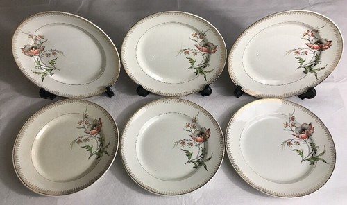 Lot4 assiettes plates - assiettes,