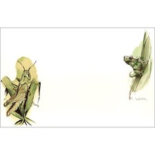 LETELLIER Pierre - Lithographie originale "La Sauterelle et la grenouille" 35x53