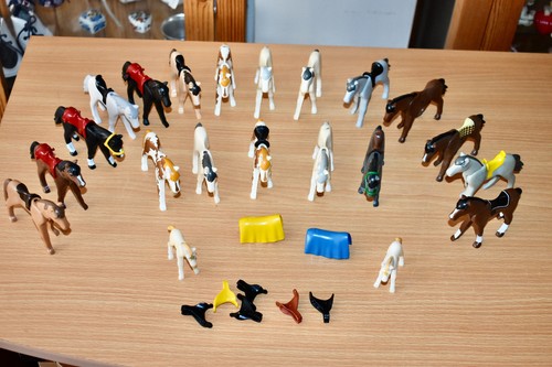 Playmobil lot 21 - ,