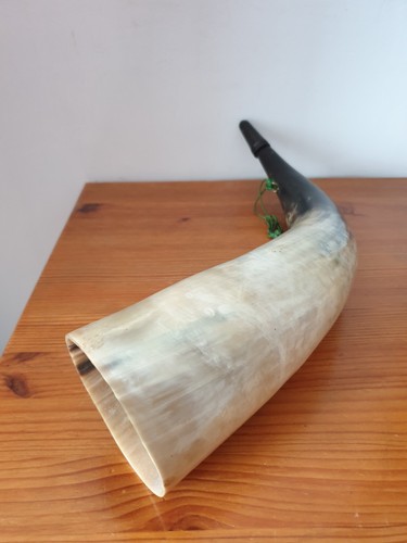 Superbe grande corne appel - superbe, d'appel