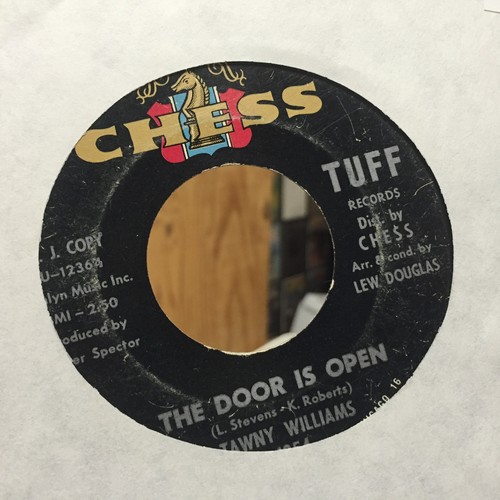 Tawny williams the door - tawny,