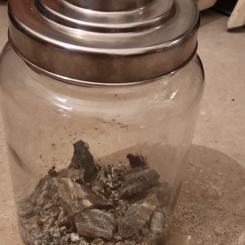Terrarium pour plantes - , grasses