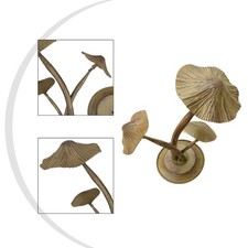 Champignons de jardin