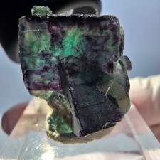 Spécimen de cube de fluorite