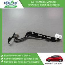 🏆 COMPAS GAUCHE CAPOT