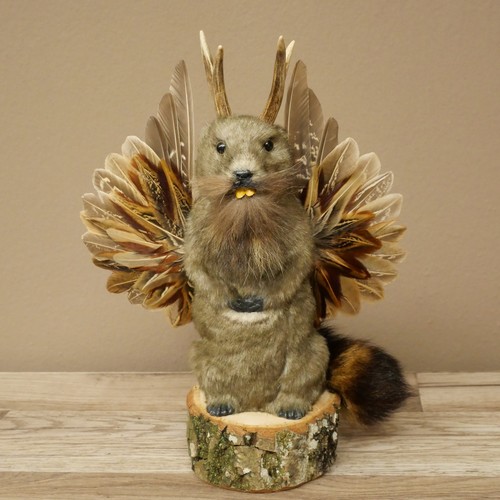 Wolpertinger murmel préparat - wolpertinger,