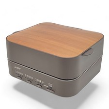 Four à pain électrique