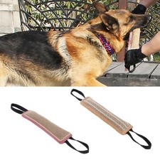 Oreillers De Morsure De Chien