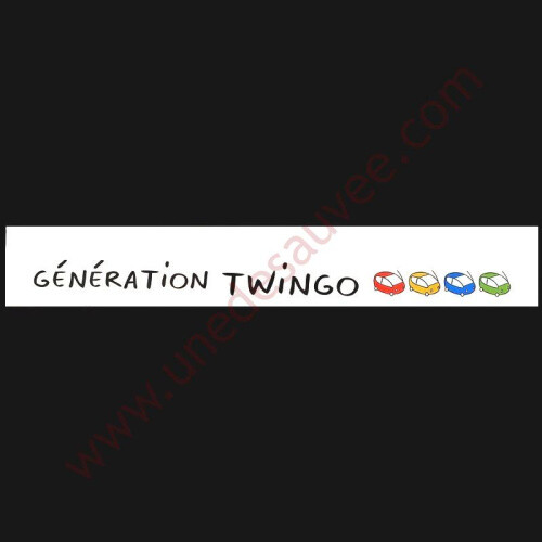 Autocollant sticker pare brise - pare,