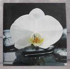 Tableau entoilé représentant une orchidée blanche