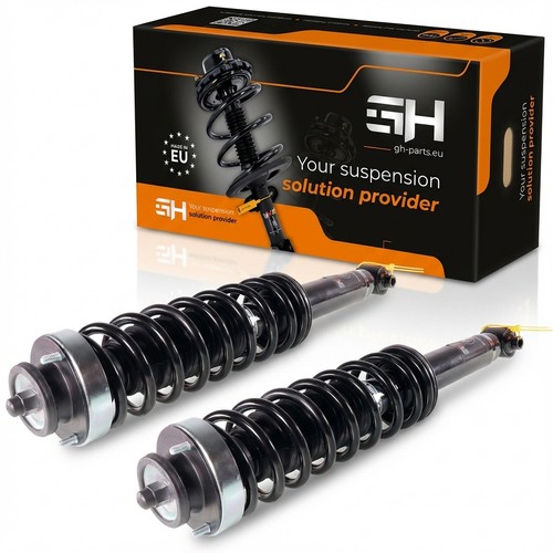 Jambe suspension - 2x,