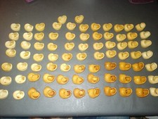 Beau lot de 79 escargots en