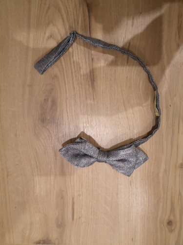 Noeud papillon gris - noeud,