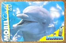 SAINT-MARTIN GSM DAUPHIN